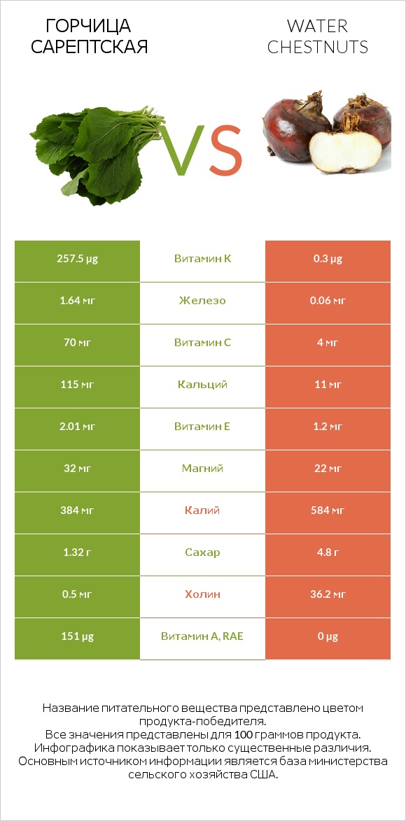 Горчица сарептская vs Water chestnuts infographic