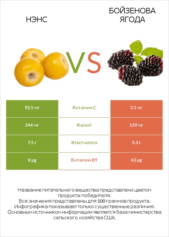 Нэнс vs Бойзенова ягода infographic