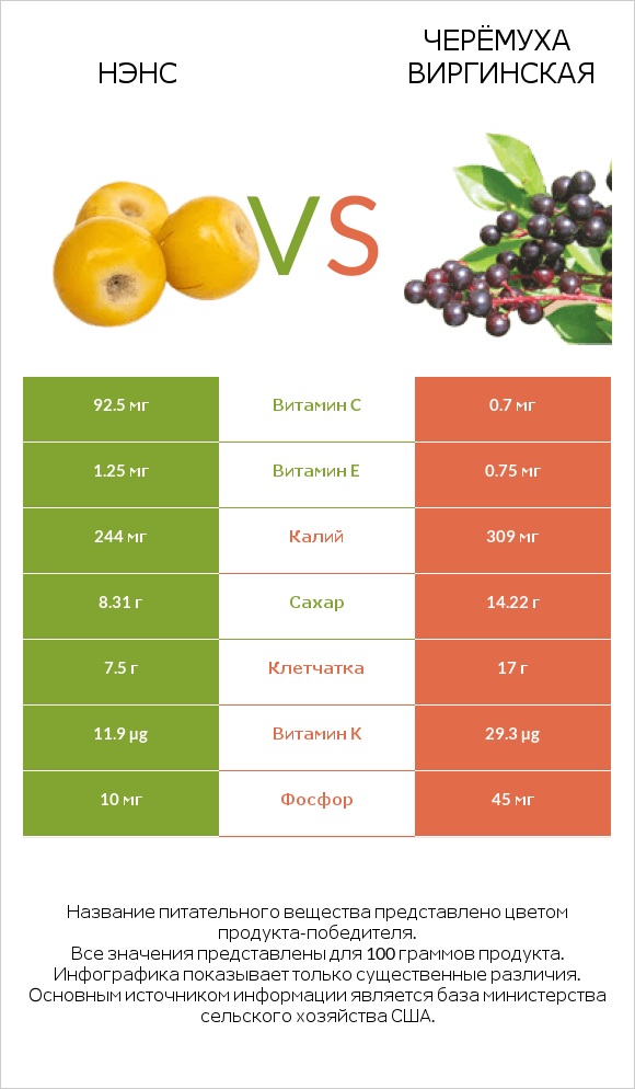 Нэнс vs Черёмуха виргинская infographic