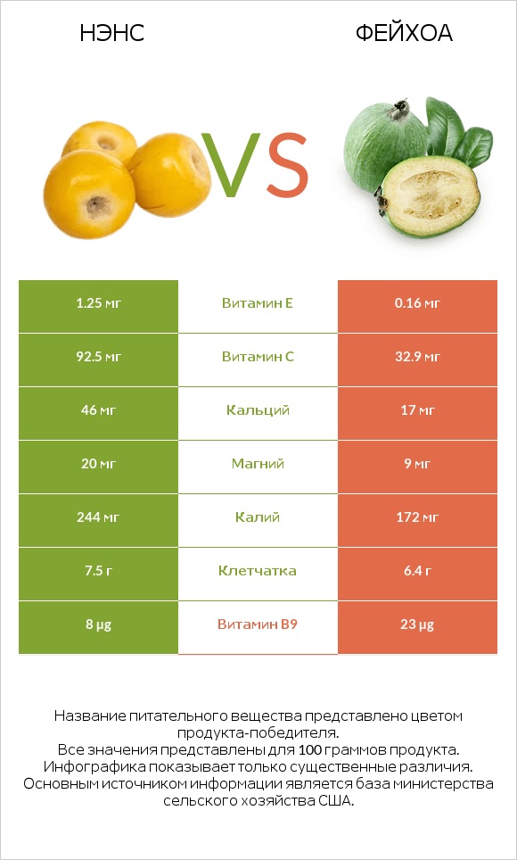 Нэнс vs Фейхоа infographic