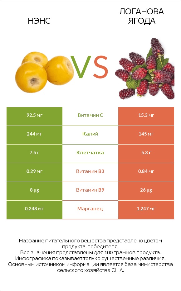 Нэнс vs Логанова ягода infographic