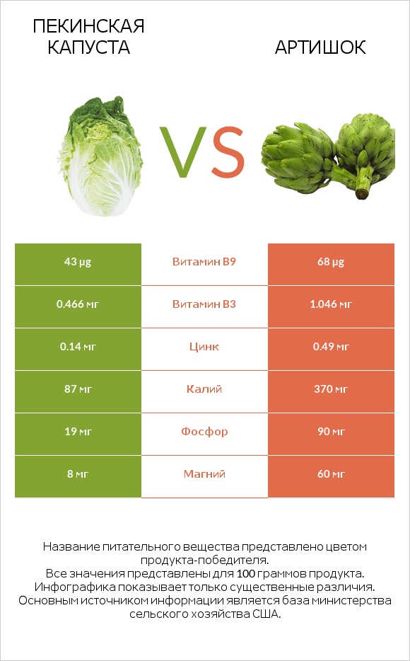 Пекинская капуста vs Артишок infographic