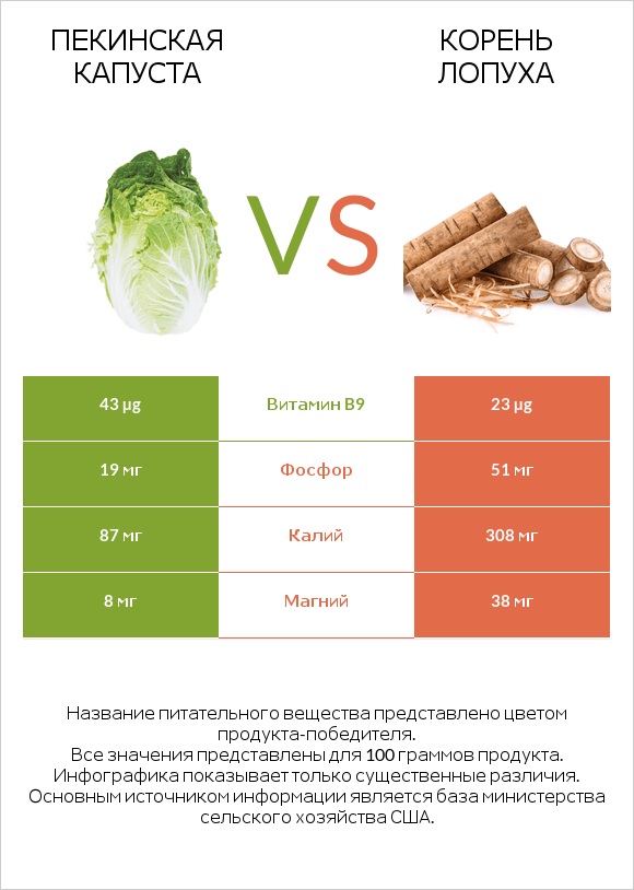 Пекинская капуста vs Корень лопуха infographic