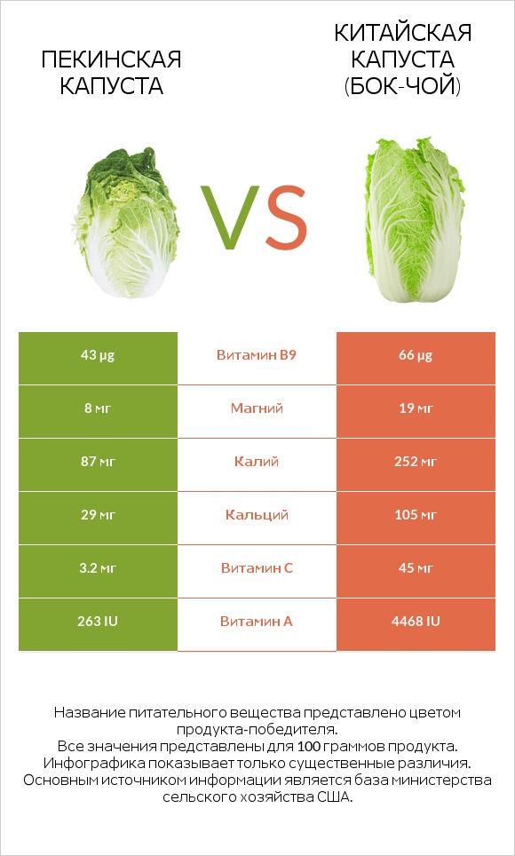 Пекинская капуста vs Китайская капуста (Бок-чой) infographic