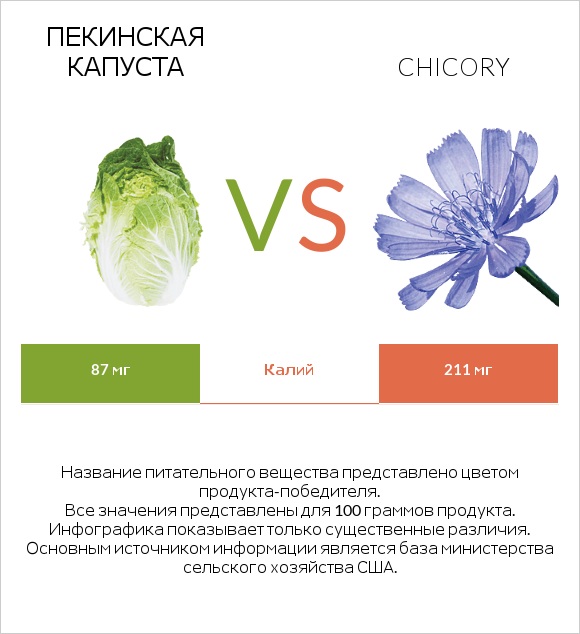 Пекинская капуста vs Chicory infographic