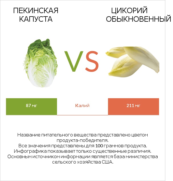 Пекинская капуста vs Chicory infographic