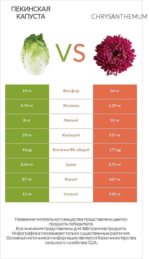 Пекинская капуста vs Chrysanthemum infographic