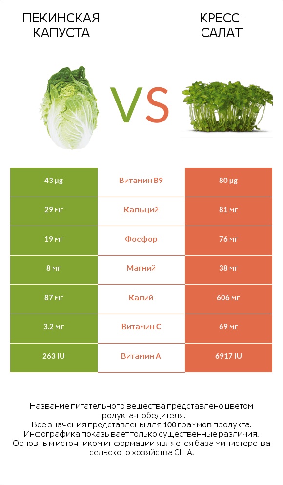 Пекинская капуста vs Кресс-салат infographic