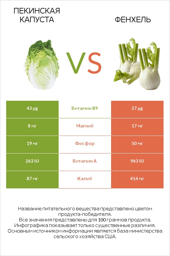 Пекинская капуста vs Фенхель infographic