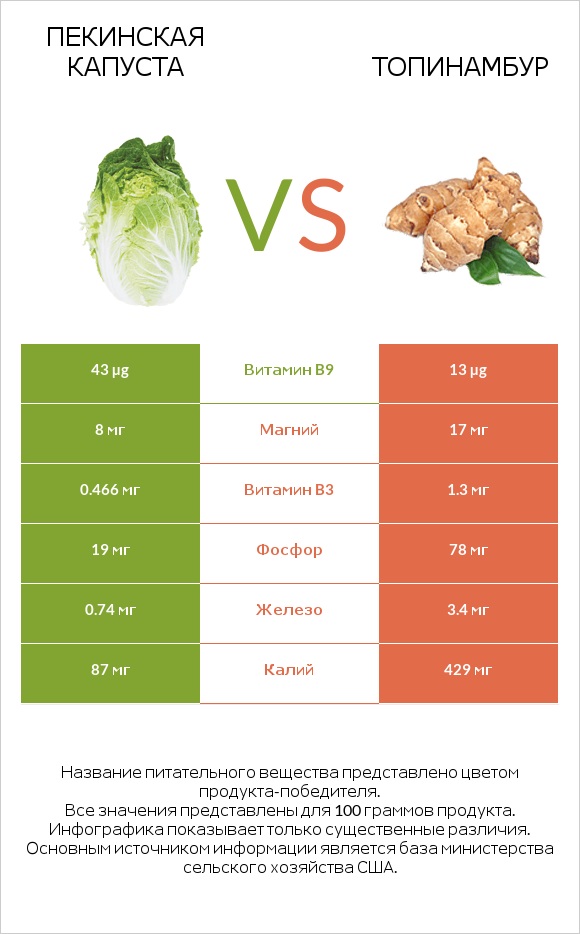 Пекинская капуста vs Топинамбур infographic