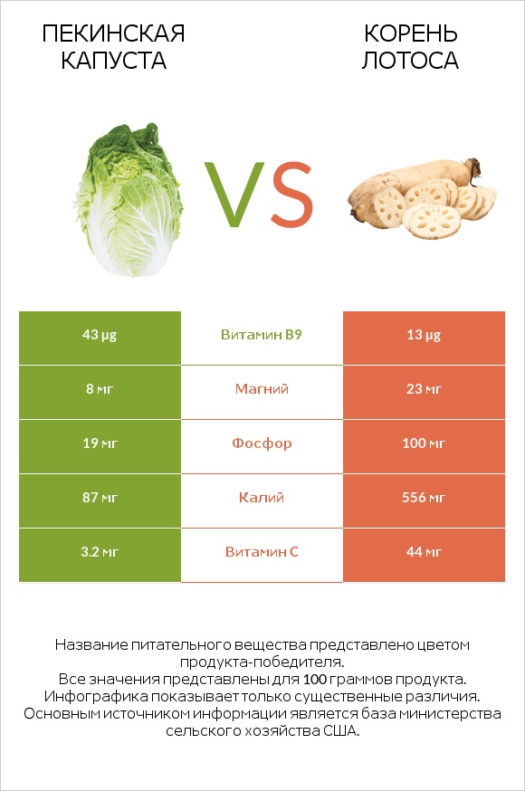 Пекинская капуста vs Корень лотоса infographic