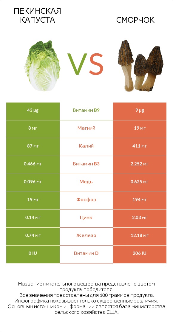 Пекинская капуста vs Сморчок infographic