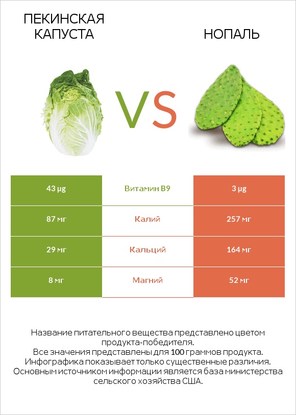 Пекинская капуста vs Нопаль infographic