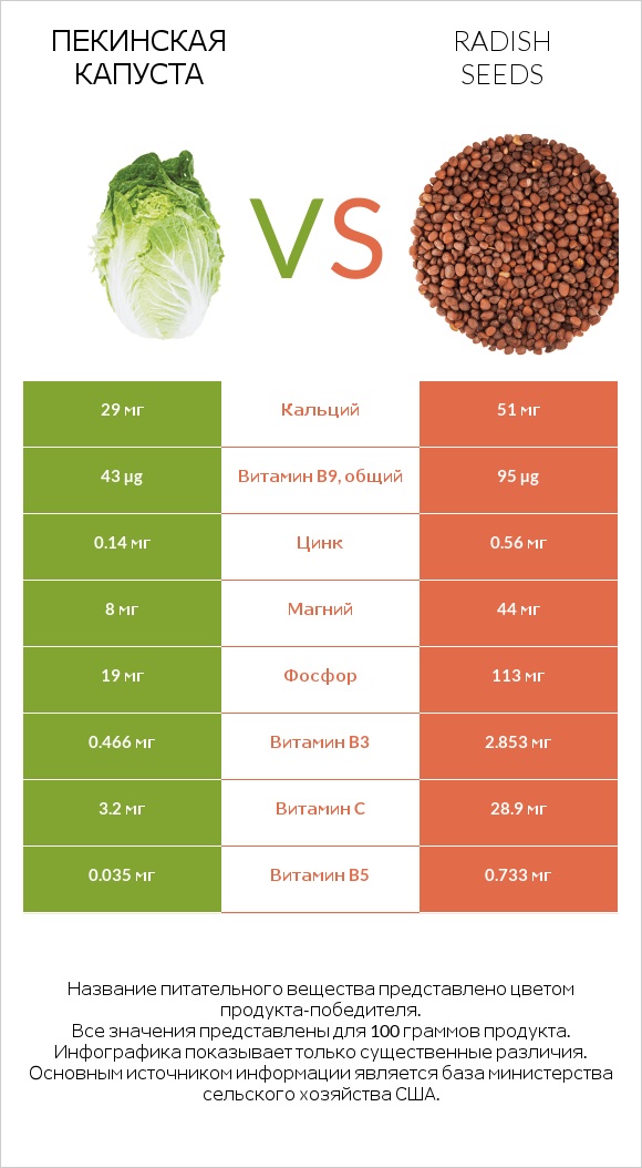 Пекинская капуста vs Radish seeds infographic