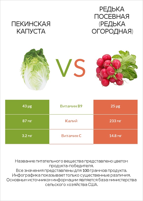 Пекинская капуста vs Редис infographic