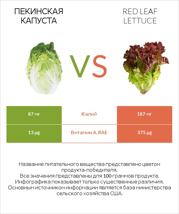 Пекинская капуста vs Red leaf lettuce infographic