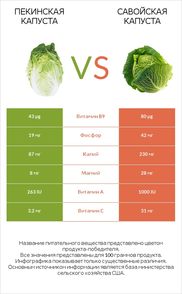 Пекинская капуста vs Савойская капуста infographic