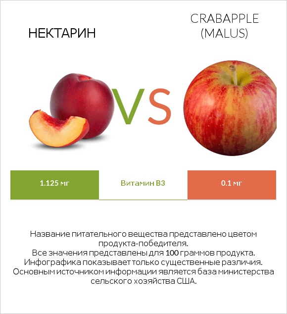 Нектарин vs Crabapple (Malus) infographic