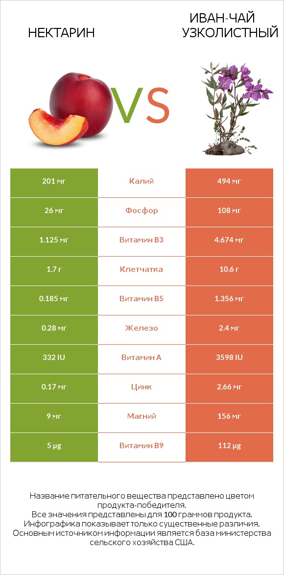 Нектарин vs Иван-чай узколистный infographic