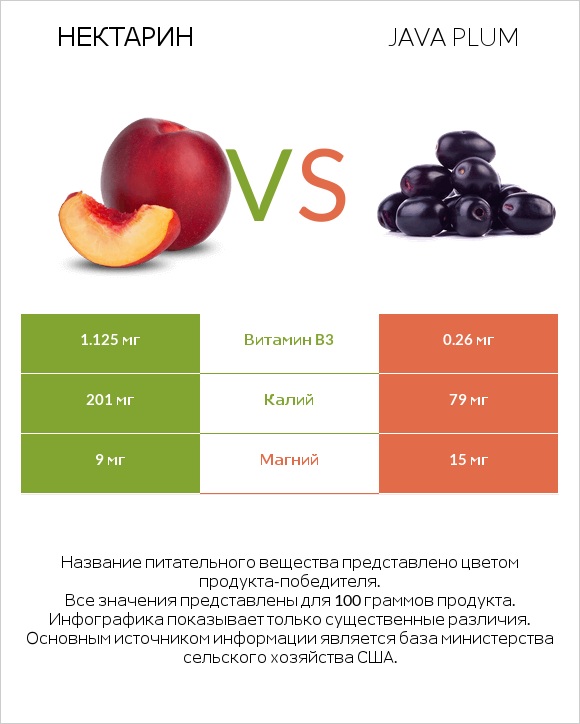 Нектарин vs Java plum infographic