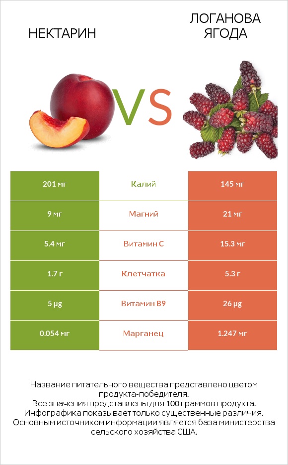 Нектарин vs Логанова ягода infographic