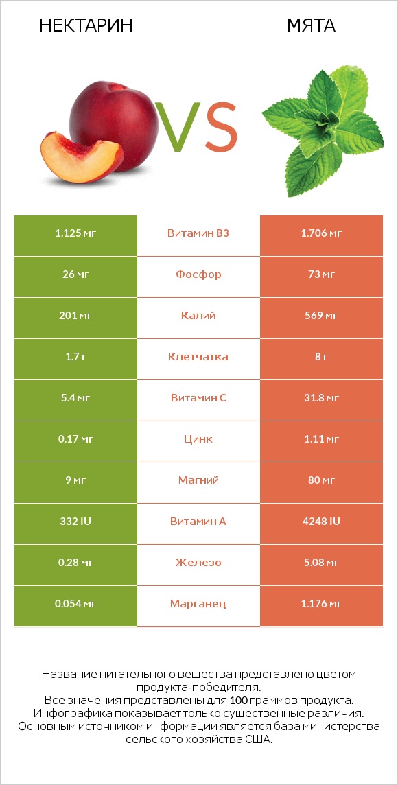 Нектарин vs Мята infographic