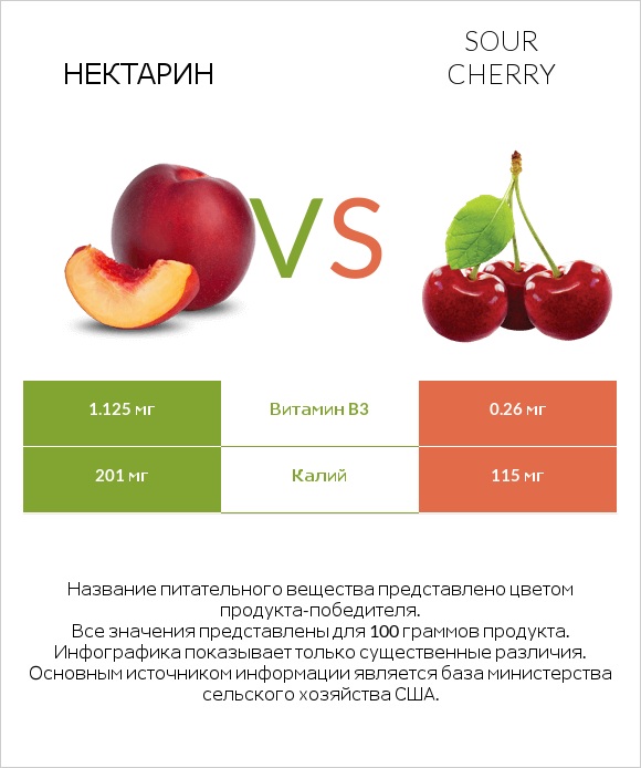 Нектарин vs Sour cherry infographic