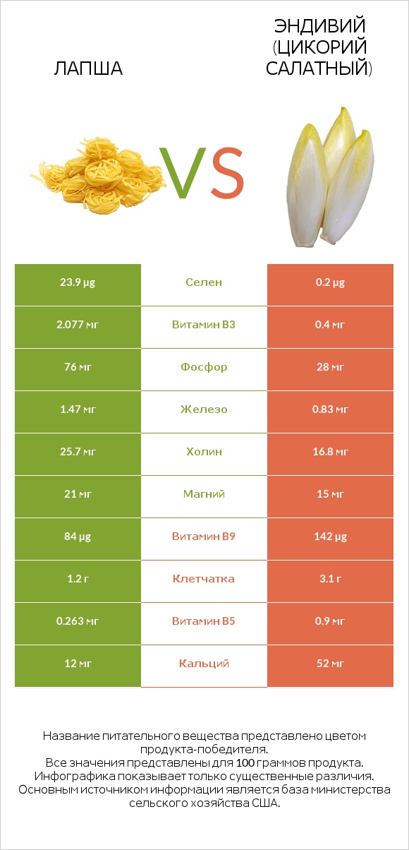 Лапша vs Эндивий (Цикорий салатный)  infographic