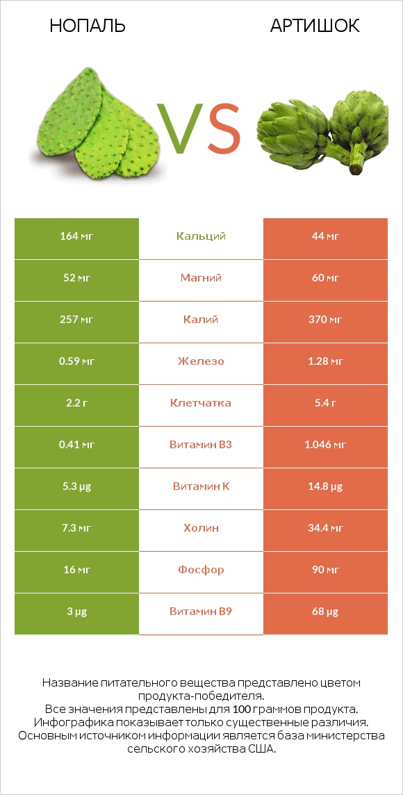 Нопаль vs Артишок infographic