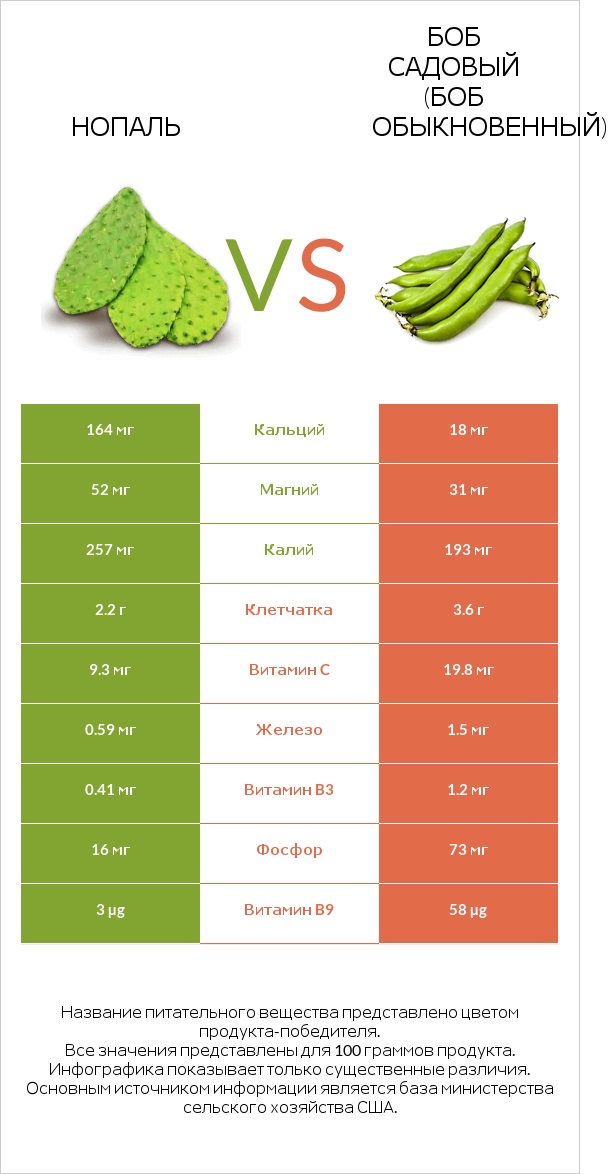 Nopales vs Бобы садовые infographic