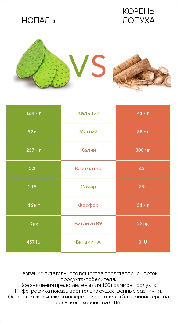 Нопаль vs Корень лопуха infographic