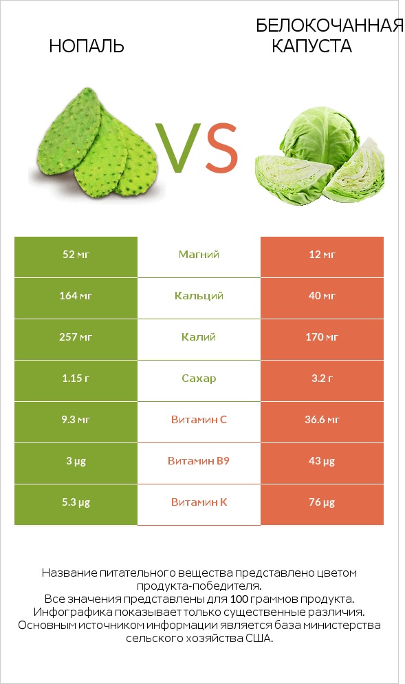 Нопаль vs Белокочанная капуста infographic