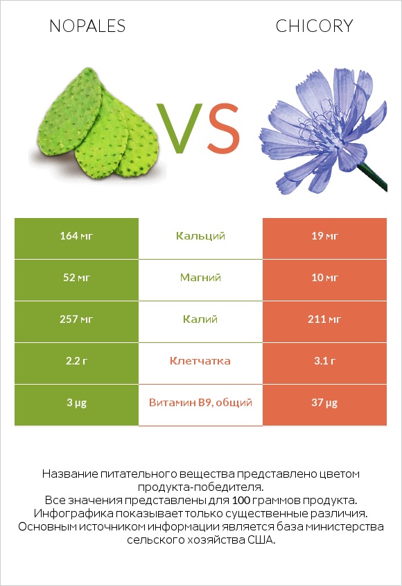 Nopales vs Chicory infographic