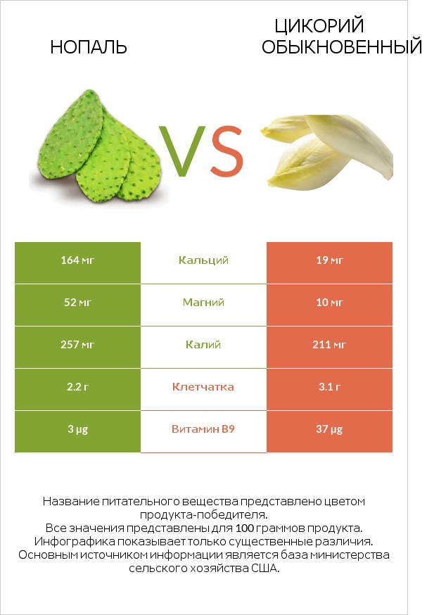 Нопаль vs Цикорий обыкновенный infographic