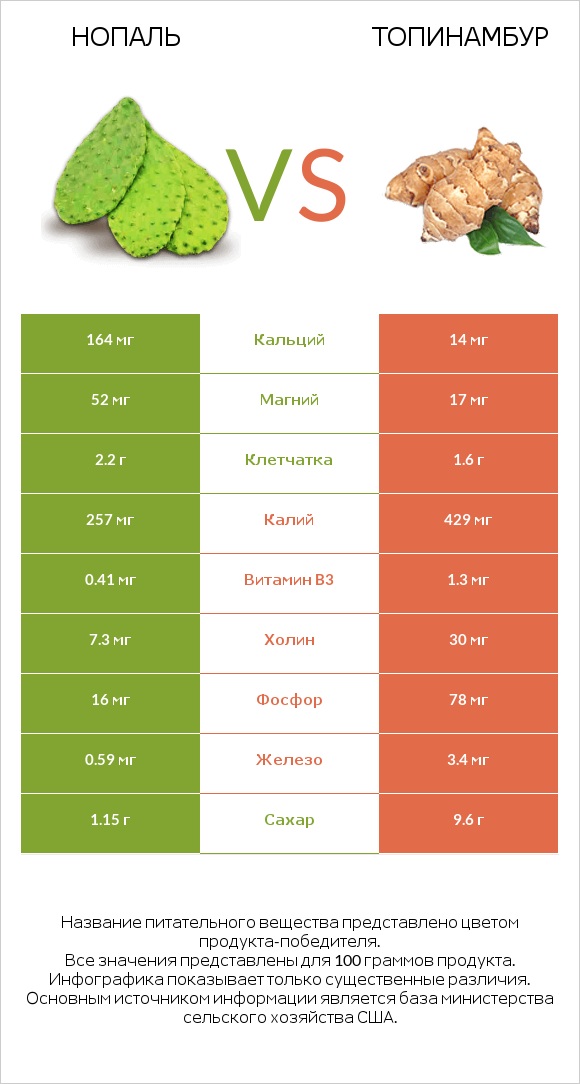 Нопаль vs Топинамбур infographic