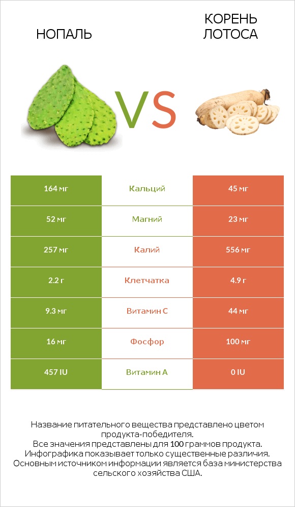 Нопаль vs Корень лотоса infographic