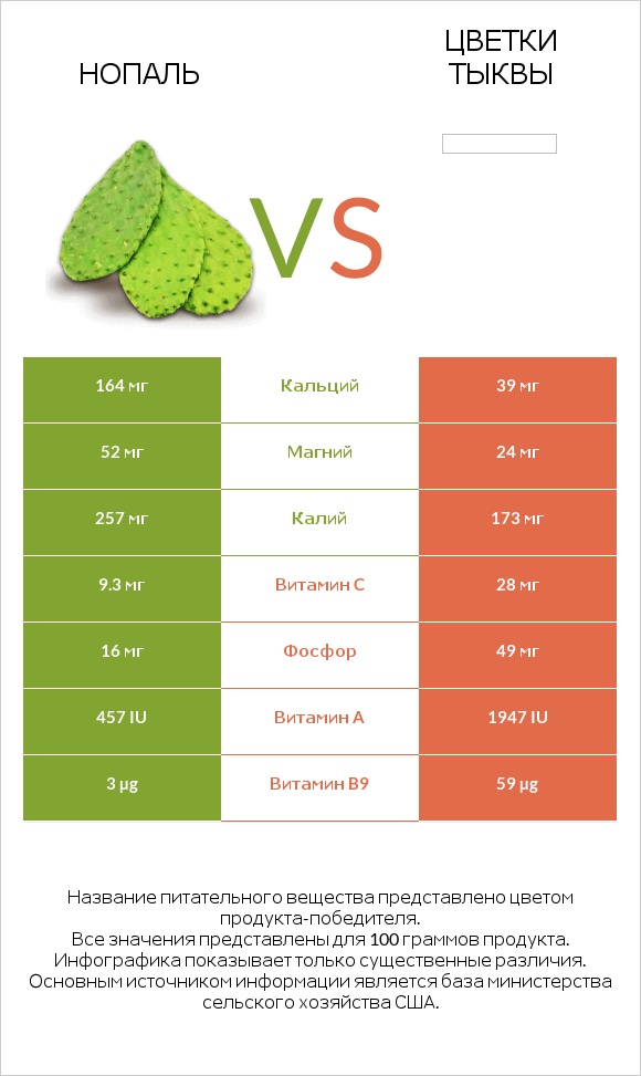 Nopales vs Pumpkin flowers infographic