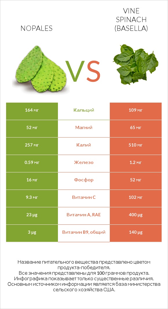 Nopales vs Vine spinach (basella) infographic