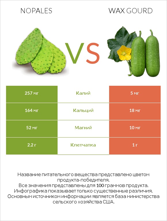 Nopales vs Wax gourd infographic