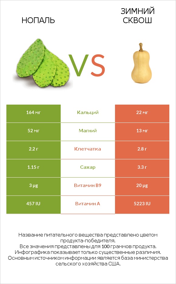 Nopales vs Winter squash infographic