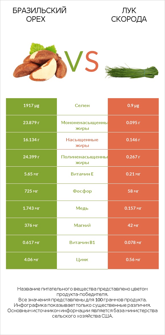 Бразильский орех vs Лук скорода infographic