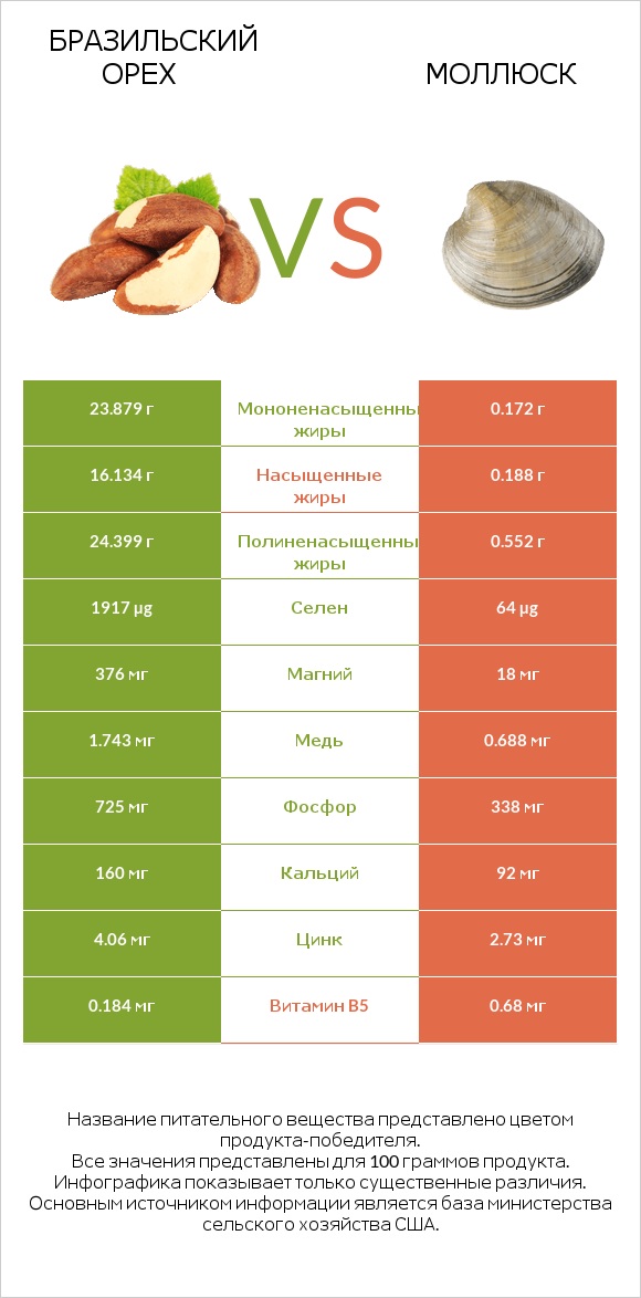 Бразильский орех vs Моллюск infographic