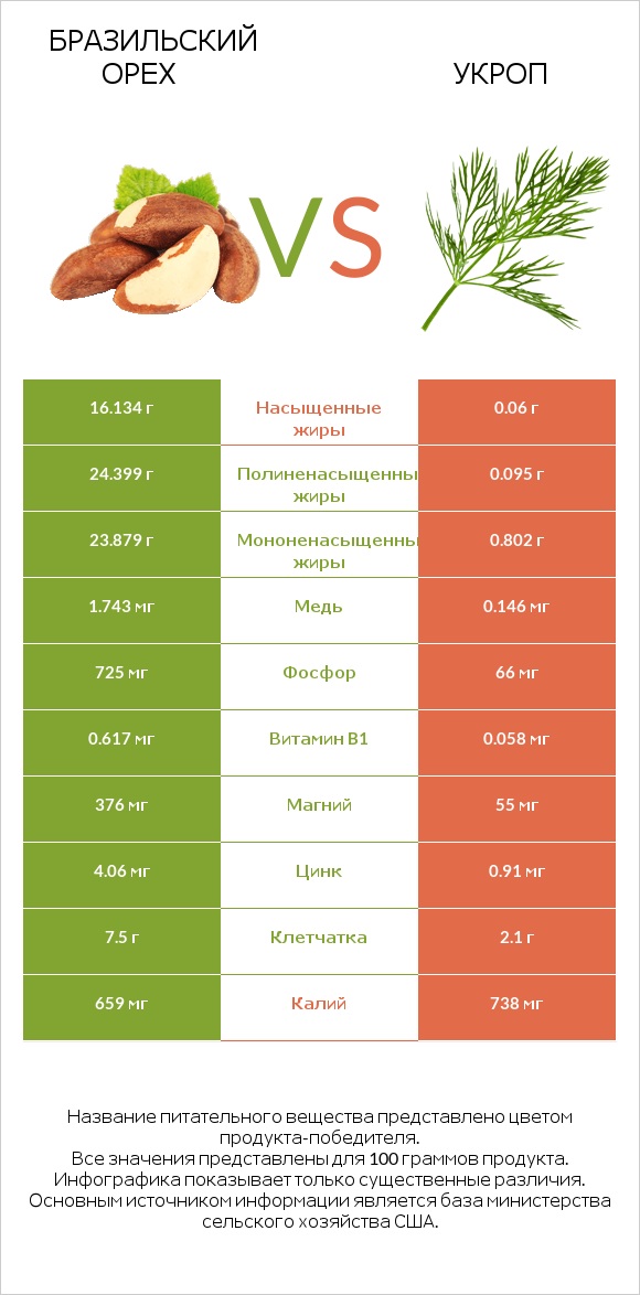 Бразильский орех vs Укроп infographic