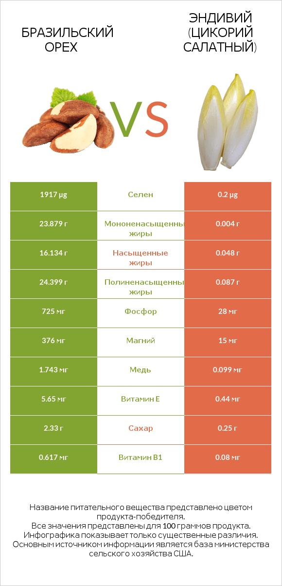Бразильский орех vs Эндивий (Цикорий салатный)  infographic