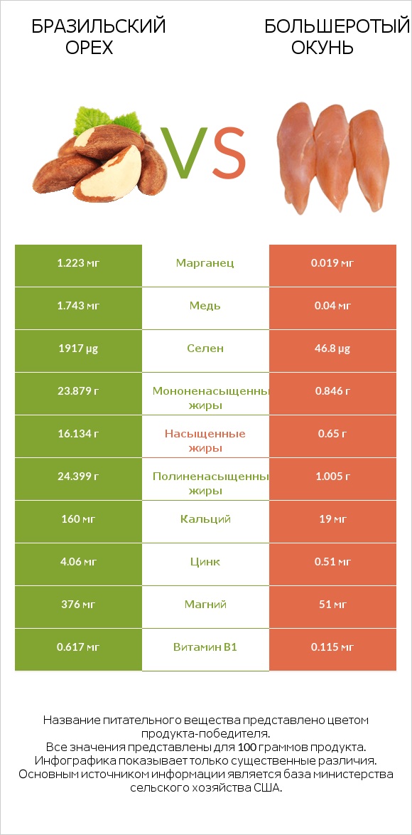 Бразильский орех vs Большеротый окунь infographic