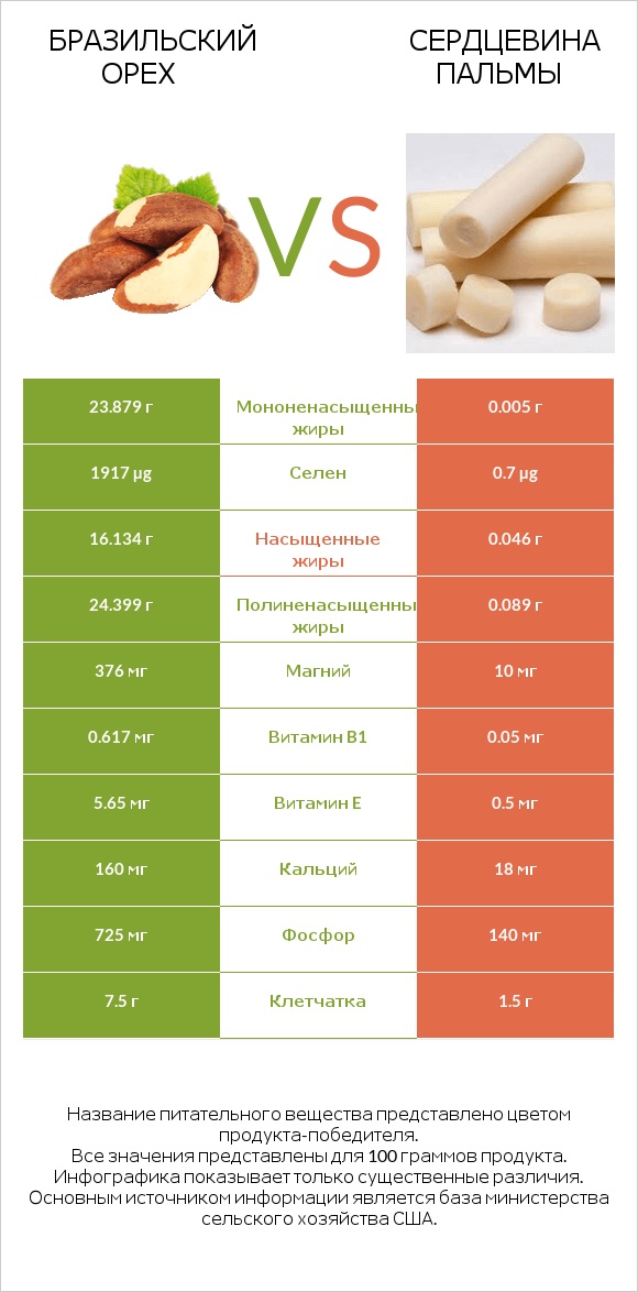 Бразильский орех vs Сердцевина пальмы infographic