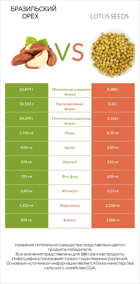 Бразильский орех vs Lotus seeds infographic