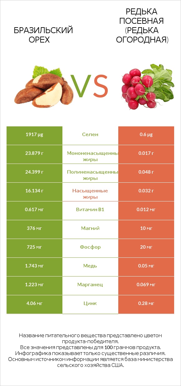 Бразильский орех vs Редька посевная (Редька огородная) infographic
