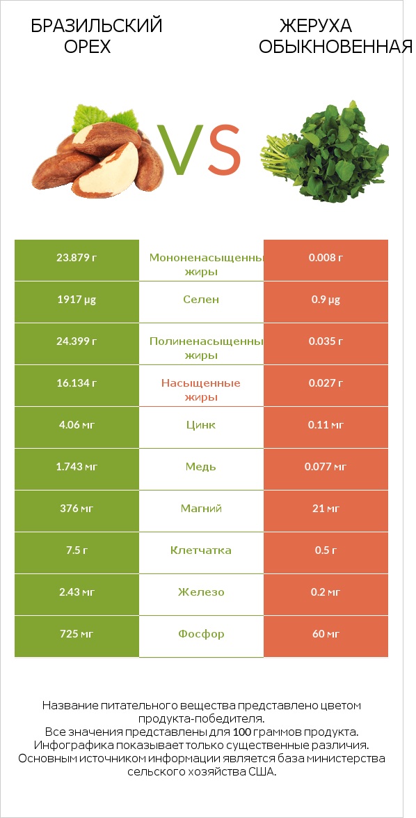 Бразильский орех vs Жеруха обыкновенная infographic