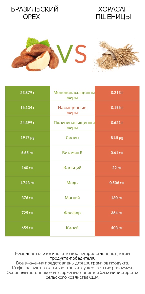 Бразильский орех vs Хорасан пшеницы infographic